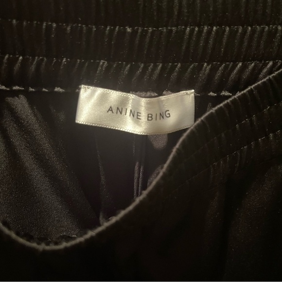 Anine Bing Romy Wide Leg Silk Pants MEDIUM, Never Worn, Orig $300 - Picture 9 of 11